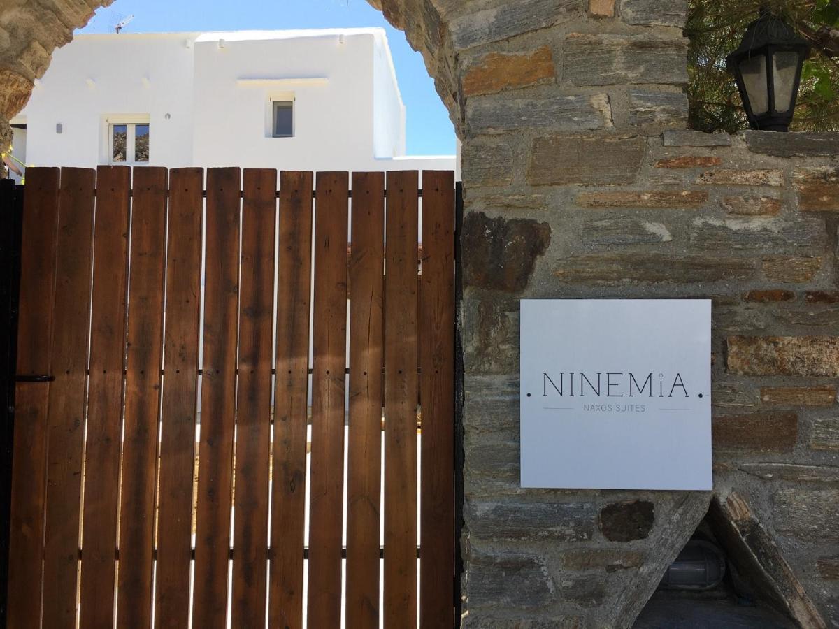 Ninemia Naxos Suites Agios Thaleleos Exterior foto