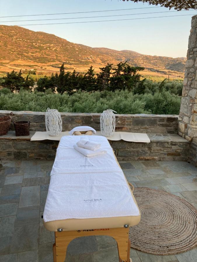 Ninemia Naxos Suites Agios Thaleleos Exterior foto